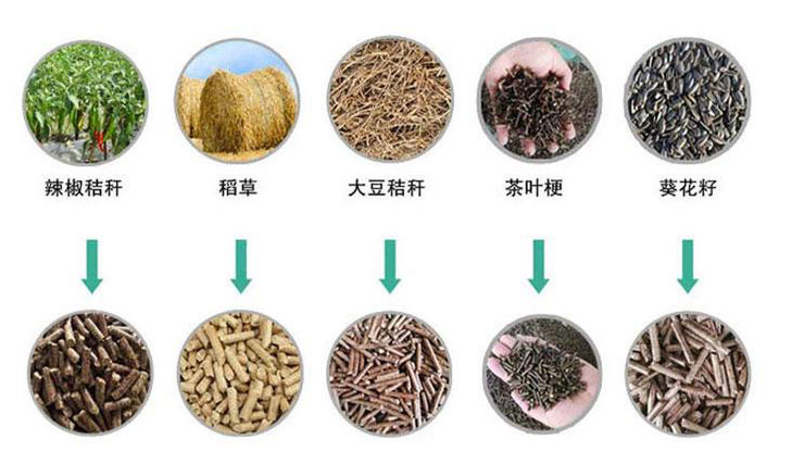 Biomass Pellet Mill industrial equipment view