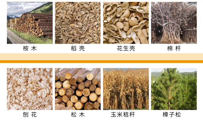 Biomass Pellet Mill industrial equipment view