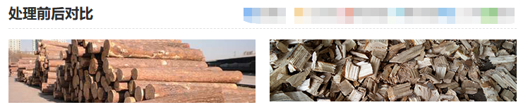 Disc Chipper industrial equipment view